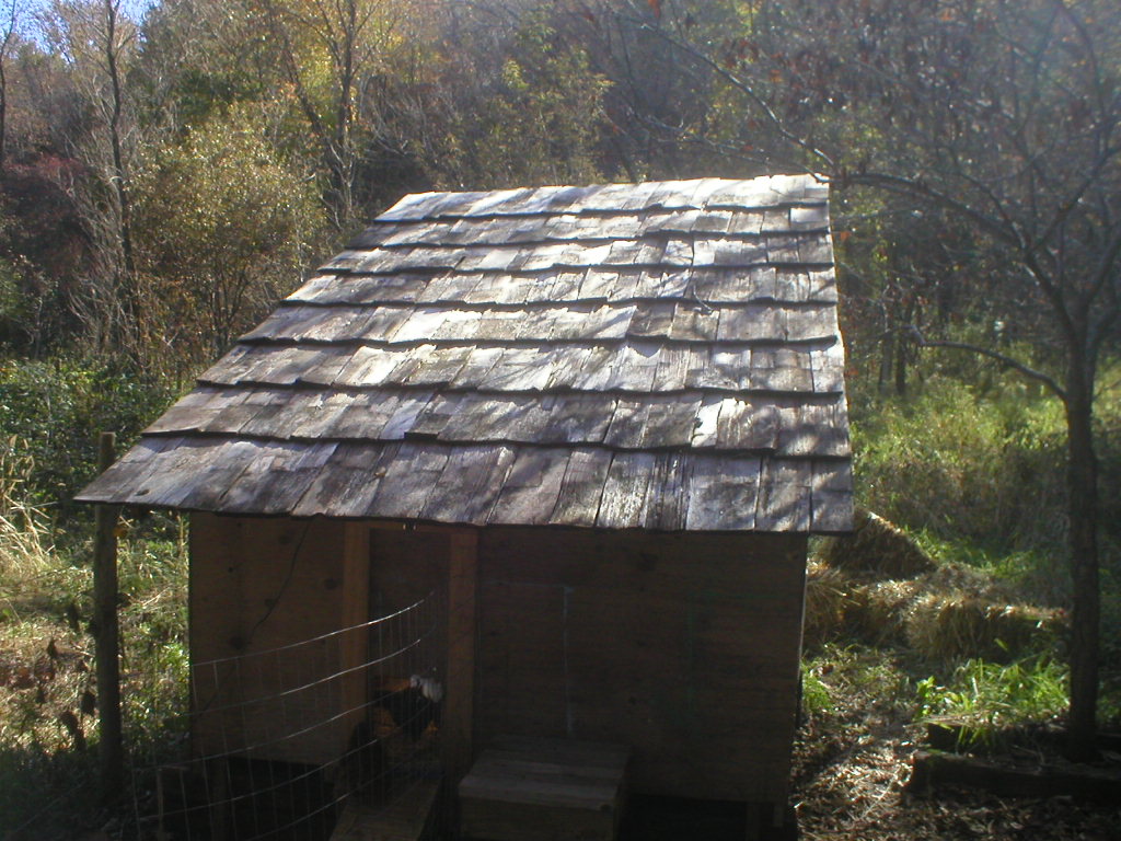 Chicken coop with cedar shingles