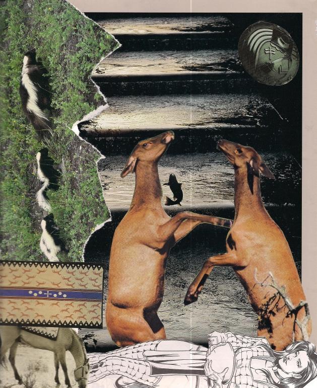 collage - Horses, Hiding