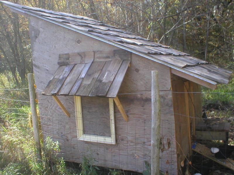 Homemade chicken coop, side view